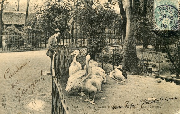 05arrt-Jardin des plantes-Les Pélicans - Cliquez sur la carte pour l’agrandir et en voir tous les détails