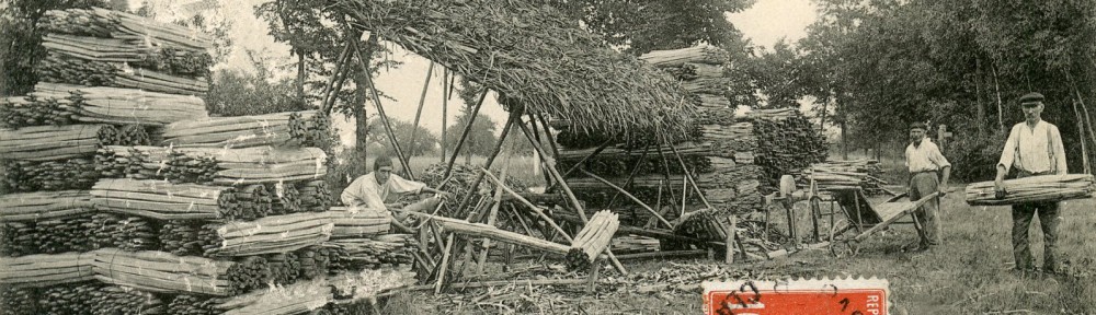 Cartes Postales Anciennes