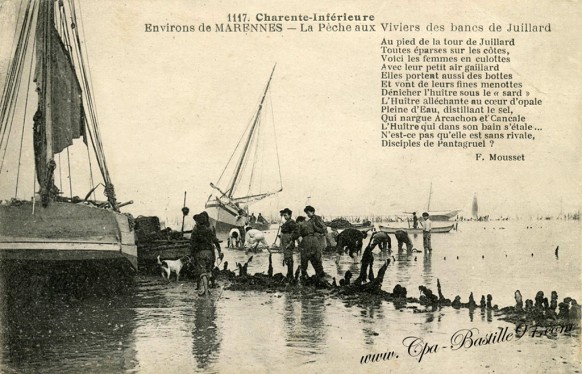 17-Marennes-La pêche aux Viviers des bancs de Juillard