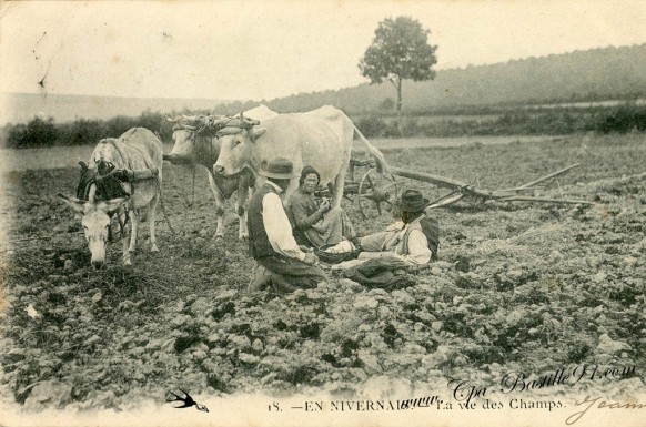 En Nivernais-La vie des Champs