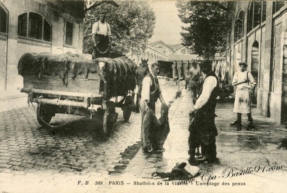 Abattoirs de la villette -comtage des peaux