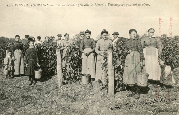 Les vins de Touraine-Bel-air-Neuillé - vendangeurs quittant la vigne