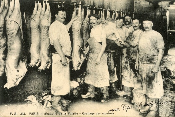 Abattoirs de la Villette-grattage des moutons