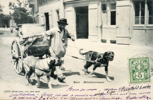 Carte postale ancienne-Bern-Milchuhrmann-le charretier de lait