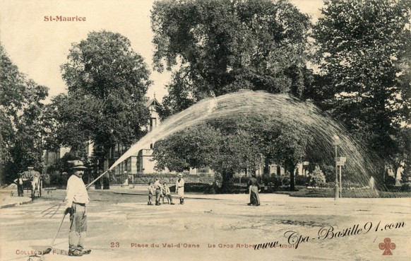 St-Maurice - Place du Val-d'Osne - Le Gros Arbre de st-Louis