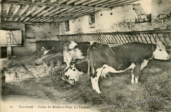 Verneuil-Ferme du Moulin a vent-La vacherie