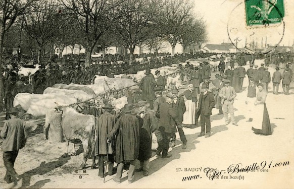 Baugy-Le champ de Foire-Cote boeufs