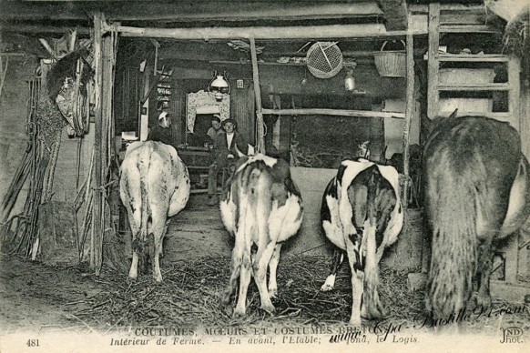 Coutumes-bretonnes-interieur-de-Ferme-avec-vaches