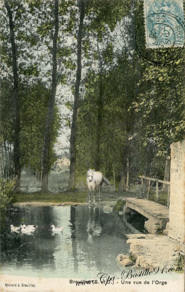 Carte-Postale-Ancienne-Breuillet-Une Vue de l'orge-Un Cheval