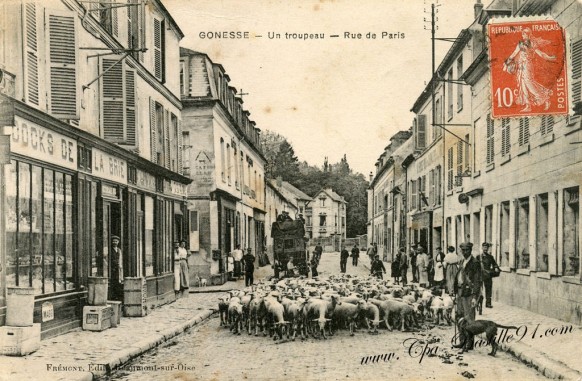 Gonesse - Un Troupeau de Moutons - Rue de Paris .