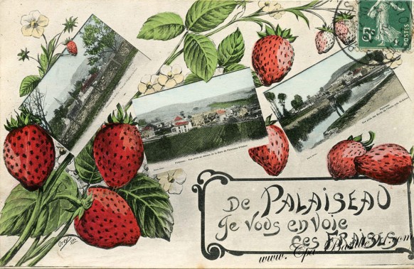 De Palaiseau-je vous envoie ces Fraises - Cliquez sur la carte pour l’agrandir et en voir tous les détails