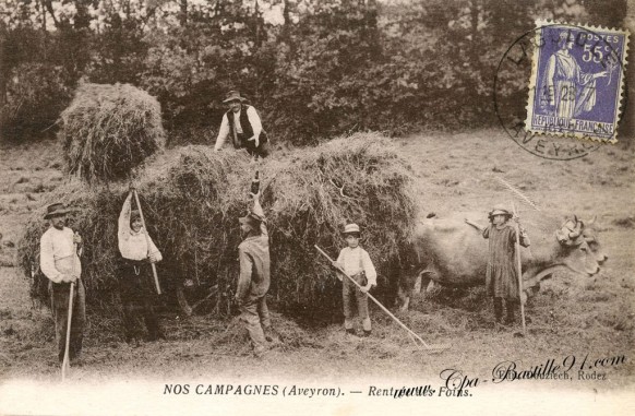 Nos Campagnes - Aveyron - Rentée des Foins