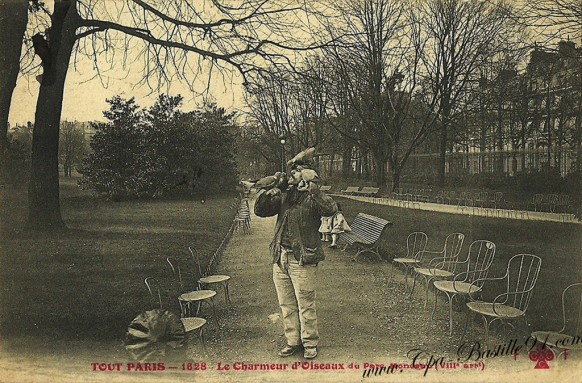 Carte-Postale-Ancienne-Tout-Paris