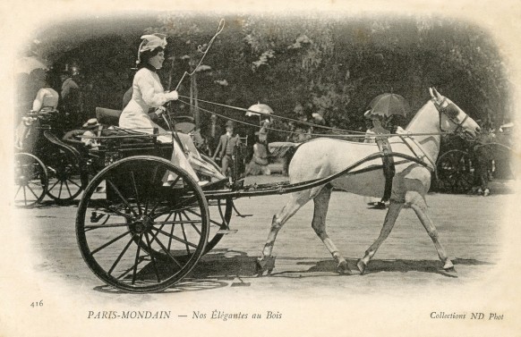 Nos-élégantes-au-Bois