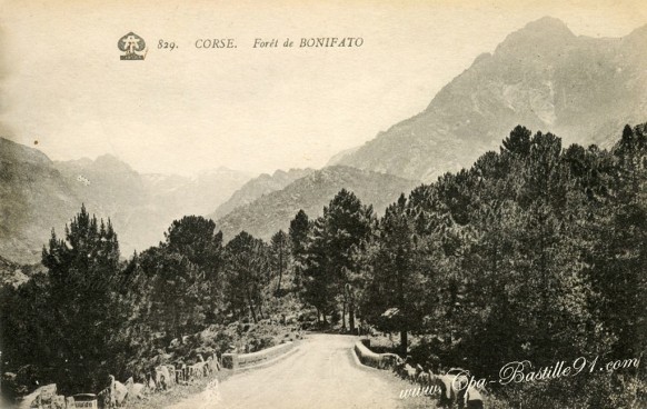 Corse-Foret-de-Bonifato.