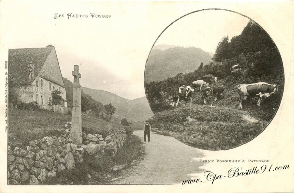 Les-hautes-vosges-Ferme-Vosgienne-et-paturage