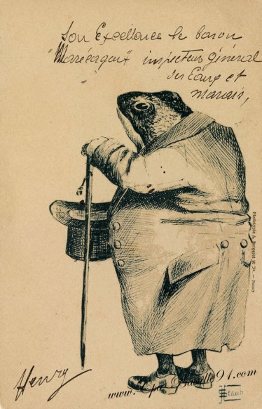 carte postale ancienne-Grenouille à comportement humains-caricatures par Staub