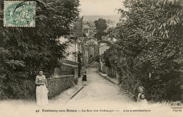 Fontenay-aux-Roses-La-rue-des-chataigniers-vue-panoramique