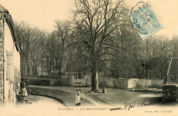 Lumigny-Le-marronnier-centenaire