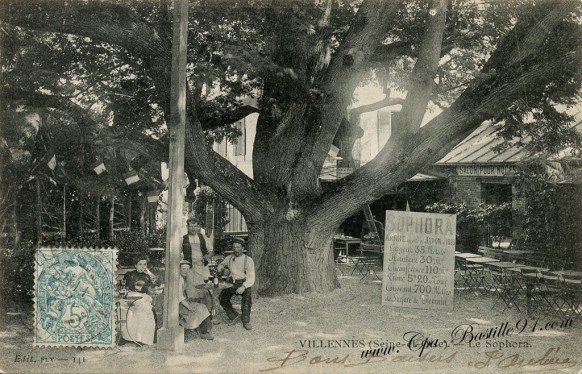 Carte Postale Ancienne de Villennes - Le Sophora 