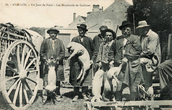 Carte Postale Ancienne - Avallon - Un jour de foire - Les Marchands de cochons