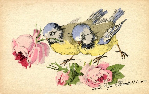 Carte Postale Ancienne – Deux oiseaux de l’illustrateur Trimm