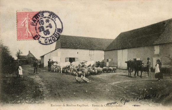 Carte postale Anciennes - La ferme de Champardolles dans les environs de-Moulins engilbert