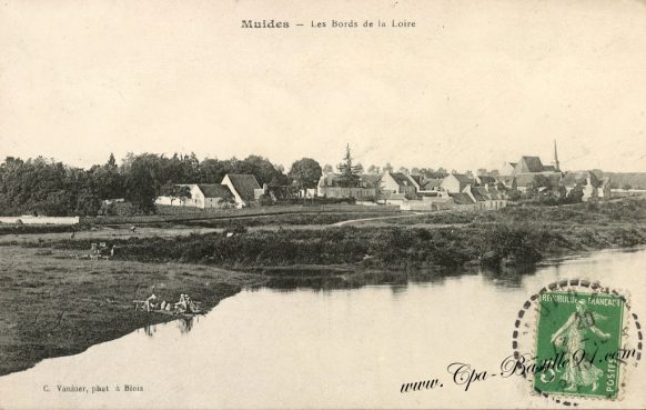 Carte Postale Ancienne de Muides et les bords de la Loire