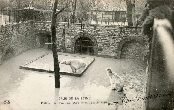 Carte postale Ancienne - Crue de la seine de 1910 - Paris la fosse aux ours envahie par les eaux 