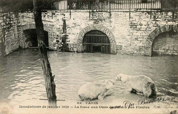 Paris - l'Inondations de janvier 1910 - La fosse aux Ours du jardin des Plantes 