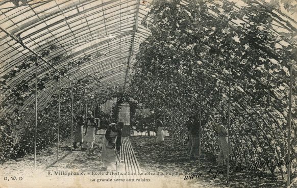 Carte Postale Ancienne - Villepreux - l'école d'Horticulture