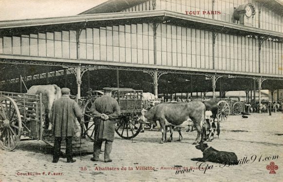 CPA Tout paris- Abattoirs de la villette - Arrivage de Bestiaux