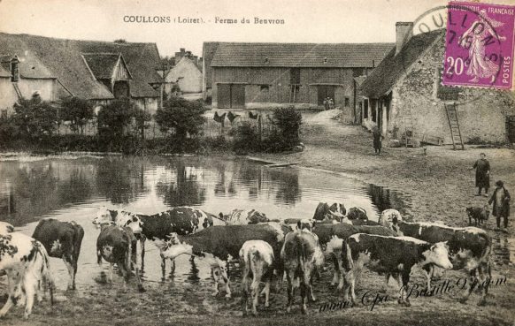 Carte Postale Ancienne de Coullons - La ferme du Beuvron