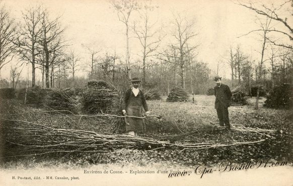 Carte Postale Ancienne - Environs de Cosne exploitation d'une Forêt