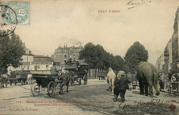 CPA de Tout Paris Promenade des pensionnaires du cirque Bostock - Des éléphants à Paris