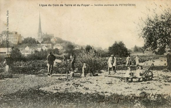 Cartes de Collections de la ligue du coin de terre et du Foyer de Pithiviers