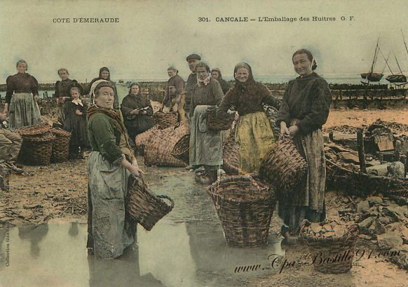 Carte Postale Ancienne - Cancale l'emballage des Huitres